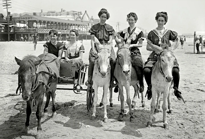 Ảnh hiếm về đường phố nước Mỹ trước khi ô tô ra đời