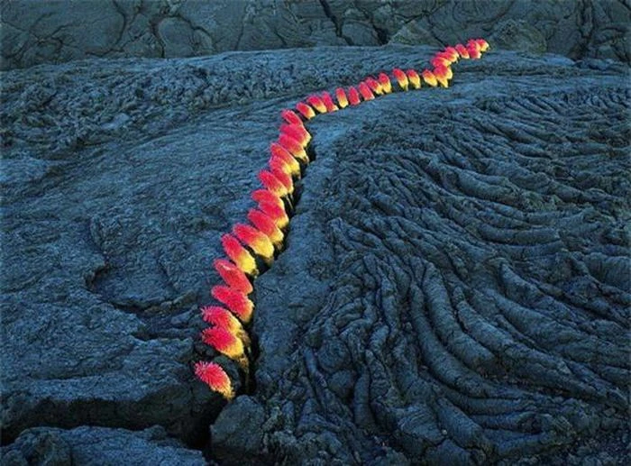 13 bức ảnh cho thấy thế giới đầy rẫy điều dị thường khó tin 