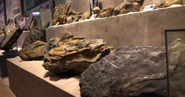 Tận mục phiến đá cổ niên đại "khủng" 2,9 tỷ năm độc nhất VN