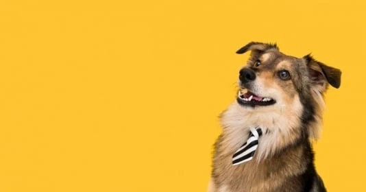 Tuần mới (16-25/5): 2 tuổi tài lộc ào ào, 1 tuổi tình tiền thất bát