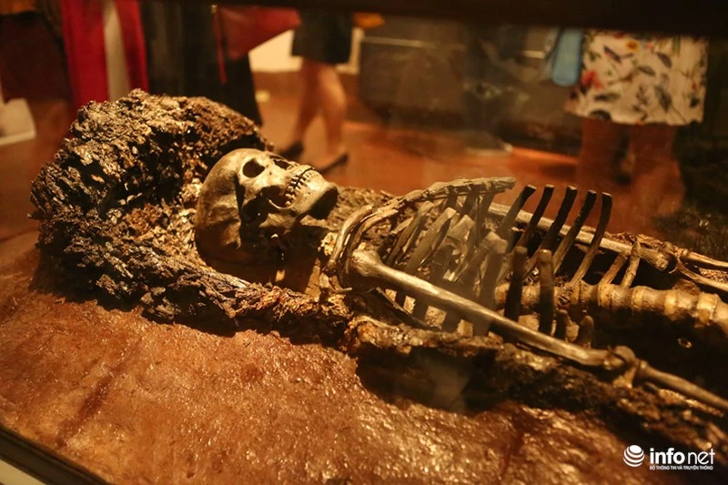 Báu vật xương người khiến dân Hà thành đổ xô đi xem