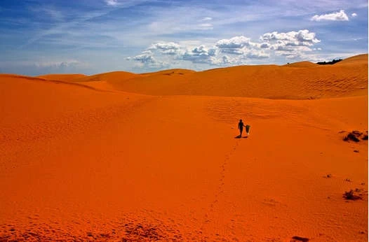 Cảnh đẹp Việt Nam quyến rũ lạ trên báo Mỹ