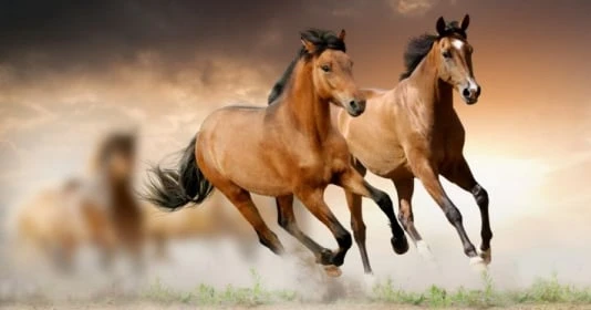 Tuần cuối tháng 6 âm: 3 con giáp khổ ải qua đi phú quý kéo về