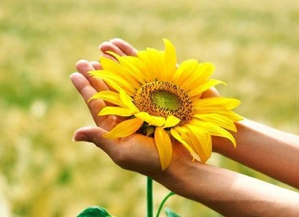 Gieo quẻ thứ năm (17/4) cho 12 con giáp 