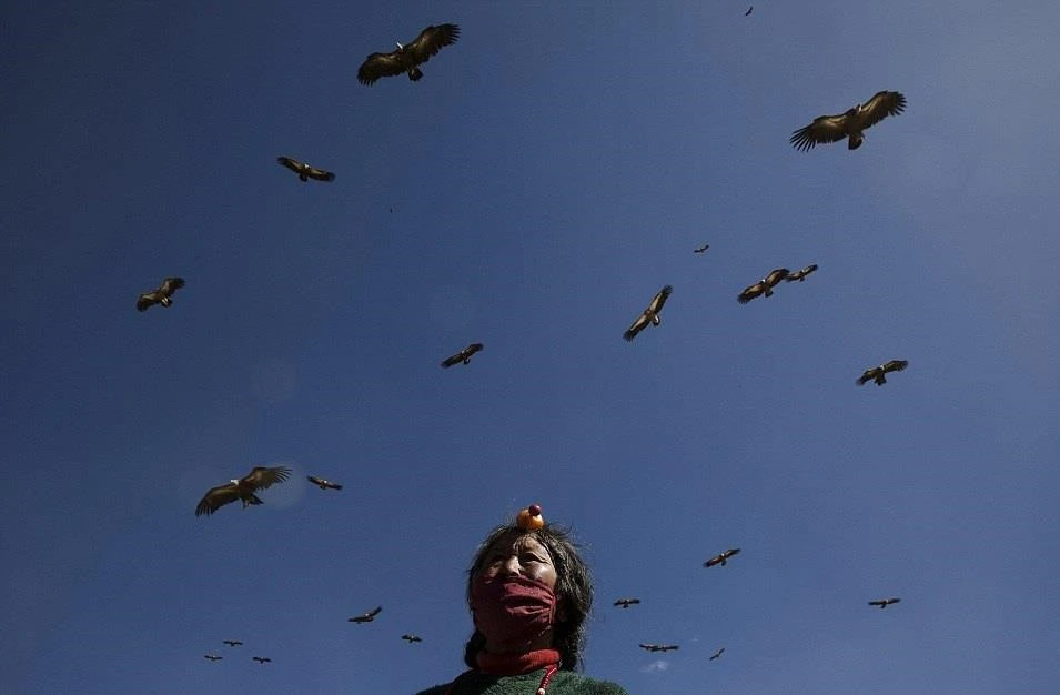 Rùng rợn tục mai táng kền kền rỉa xác thiêng nhất Tây Tạng