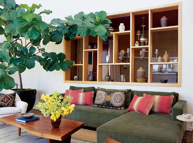 Những vị trí trồng cây phong thủy hút tài lộc trong nhà