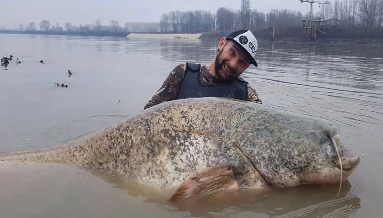 Câu cá trên sông, tái mặt đụng trúng 'quái ngư' từng đoạt mạng người