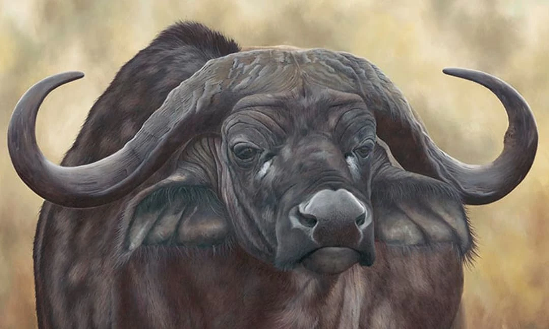 Chia buồn 3 con giáp xui đủ đường, chịu mọi tai ương tuần mới 13-19/9/2021