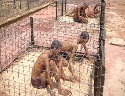 Nhà tù Phú Quốc: Lạnh gáy “chuồng cọp” giết người