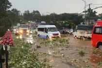 Mưa lớn gây ngập cục bộ ở Đà Lạt, 2 người tử vong do sạt lở đất