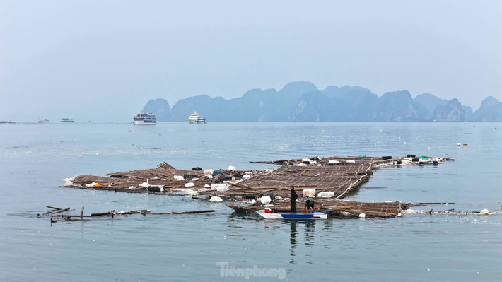 Những "núi" rác khổng lồ này đang theo con nước tiến dần ra khu vực vùng lõi di sản vịnh Hạ Long.