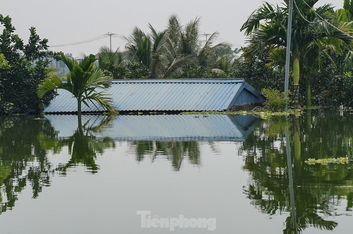 Hàng chục ngôi nhà chìm sâu, chỉ còn phần mái.