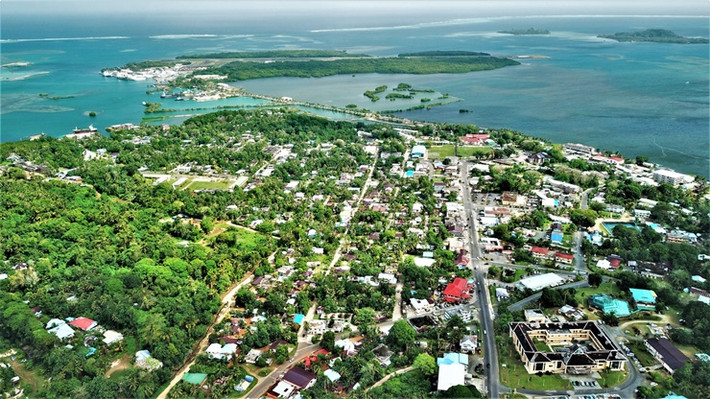 Phần lớn thực phẩm của Liên bang, bao gồm gạo, trái cây, rau, thịt và cá, và hầu hết tất cả các mặt hàng sản xuất và dầu đều phải nhập khẩu.