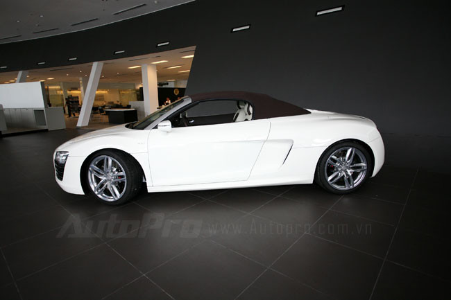 Audi R8 Spyder cũng sử dụng động cơ 5,2 lít V10 công suất 525 mã lực và mô-men xoắn cực đại 391 Nm. Cả 2 phiên bản được trang bị hệ dẫn động 4 bánh Quattro của hãng xe Đức.