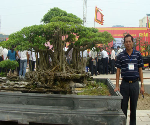 Đại gia Thịnh bên cây "Đằng vân thập toàn" có giá 10 tỷ đồng.