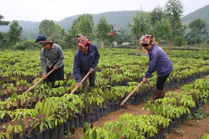 Trong danh sách các tổng công ty, tập đoàn chưa hoàn thiện hồ sơ pháp lý dẫn đến việc quản lý đất đai gặp nhiều khó khăn, bất cập vẫn có cái tên Seaprodex với 28 khu đất diện tích 2.190.274,1 m2, Vinatex với 21.272,7 m2, Cienco 6 với 17.554,78 m2, VRG với 306.010.000 m2.