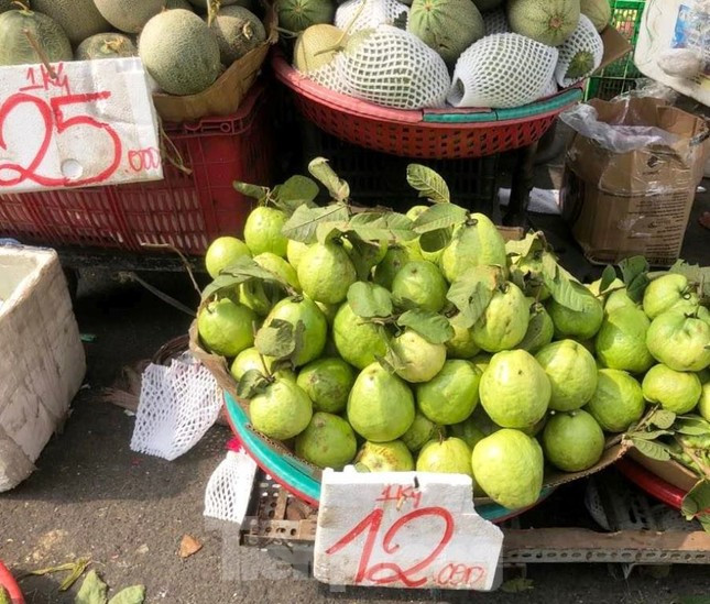 Ổi lê, ổi nữ hoàng 12.000 đồng/kg. Thông tin từ các chợ đầu mối nông sản Thủ Đức, Hóc Môn cho thấy, sản lượng trái cây trong nước đổ về TPHCM số lượng tăng như xoài, thanh long, dưa hấu... với giá từ 15.000-30.000 đồng/kg, tùy loại. "Thông thường, bắt đầu từ tháng 4, tháng 5 cũng là thời gian trái cây trong nước vào mùa, sản lượng tăng nhanh. Năm nay do gặp khó khăn về xuất khẩu nên nhiều mặt hàng trái cây dội chợ, giá giảm" - bà Minh, thương chợ đầu mối Thủ Đức thông tin.