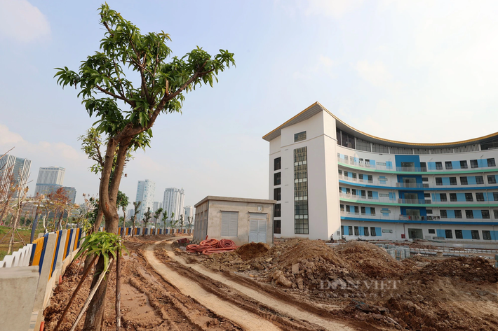 Nhiều cây xanh được trồng ven tường rào bao quanh các khu nhà. Hình ảnh phía trước khu B.