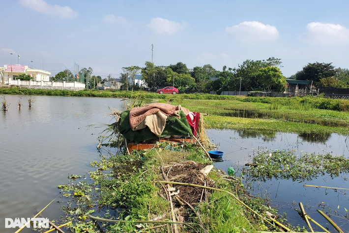 Mùa bẫy chim, cò bắt đầu từ đầu tháng 9 đến tháng 12 âm lịch hàng năm. Thường tháng 10 nhiều chim, cò nhất. Mỗi con cò, vạc có giá bán 30.000 đồng/kg, các loại chim thì rẻ hơn. Với nhiều lao động không có công việc ổn định thì xem đây là một nghề mang nguồn thu nhập trong lúc nông nhàn. (Ảnh: Một túp lều ở thôn 1, phường Quảng Hùng, thành phố Sầm Sơn của người dân dùng để ở, mai phục bẫy cò (Ảnh: Hạnh Linh).