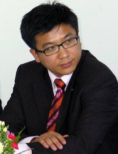 Ông Hoàng từng là giám đốc điều hành cho công ty VITC tại khu vực châu Á, một công ty viễn thông Mỹ chuyên về IP và công nghệ. Ông cũng là cộng sự tại Ngân hàng đầu tư Goldman Sachs tại NewYork chuyên nghiên cứu về các công ty hoạt động trong lĩnh vực công nghệ và phát triển phần mềm.