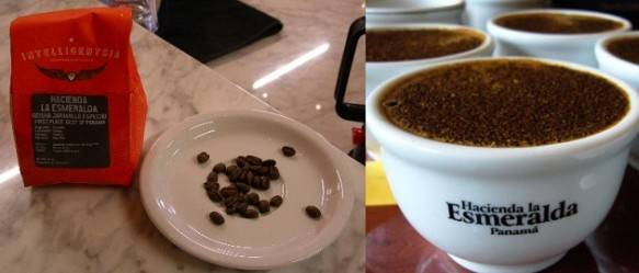 Hacienda La Esmeralda's Geisha là loại cà phê được trồng ở Boquete, Panama. Đây cũng là loại cà phê phổ biến trên toàn thế giới bởi hương vị độc đáo. Những cây cà phê sẽ được trồng dưới bóng những cây ổi. Có thể chính vì thế mà nó có hương vị riêng chăng? Bạn có thể mua nó với giá 104 USD/pound.