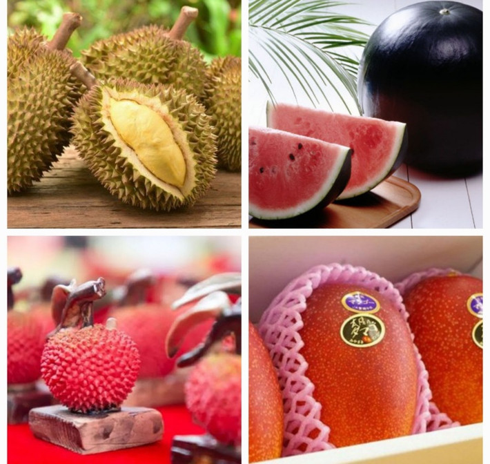 Đã bao giờ bạn thưởng thức những loại trái cây có giá trên trời dưới đây hay chưa? Dù có giá đắt “cắt cổ” nhưng nhiều đại gia vẫn sẵn sàng “đốt ví” để mua chúng về thưởng thức.
