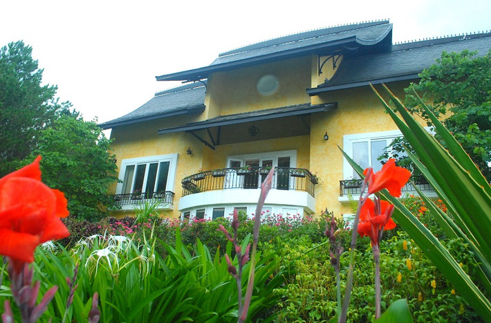 Biệt thự kiểu mới này chỉ hai tầng (1 trệt và 1 lầu), chìm trong thông xanh và các loài hoa hoang dại.
