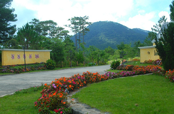 Bình An resort lại không xây cổng như nhiều nơi khác mà đón chào du khách bằng những vạt hoa, tạo nên một không gian bình an, thơ mộng.
