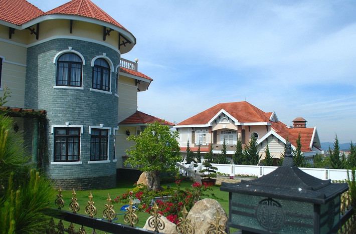 Nét đẹp của nó khiến người ta muốn ngắm nhìn mãi.