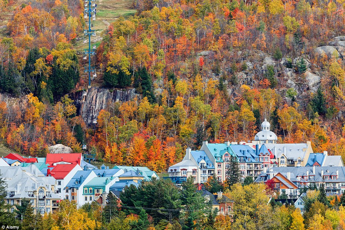 Khung cảnh mùa thu đặc trưng ở vùng núi Laurentian, Quebec, Canada.