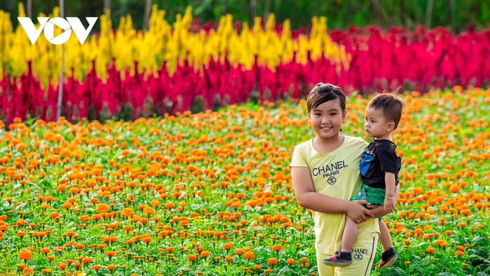 Tân Ba là làng hoa duy nhất tại Bình Dương, nên những ngày cận Tết rất nhiều du khách các nơi tìm về tham quan, chụp ảnh lưu niệm.