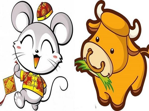 Tuổi Tý và tuổi Sửu. Một người tuổi Tý thông minh, lanh lợi, người tuổi Sửu hiền lành, chăm chỉ. Nhưng có thể thấy người tuổi Tý hơi lấn lướt người bạn đời của mình, luôn ra lệnh và muốn được đối phương phục tùng.