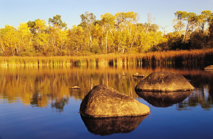 Sắc vàng mùa thu bao phủ công viên Whiteshell, Manitoba.