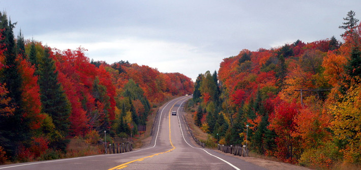 Một con đường tĩnh lặng chạy qua công viên Algonquin ở Ontario.