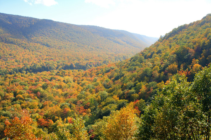 Khu rừng nhuốm màu thu trên đảo Cape Breton.