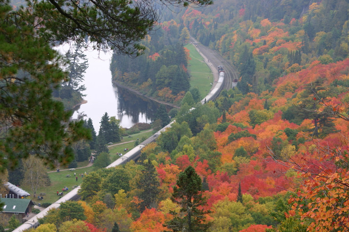 Đoàn tàu hỏa Algoma chạy qua khu rừng với lá vàng và đỏ đặc trưng của mùa thu ở Sault Ste Marie, Ontario.