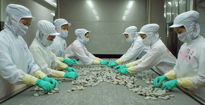 Công ty hải sản Minh Phú có trụ sở tại Cà Mau chuyên cung cấp đồ hải sản tươi sống đóng hộp, chủ yếu là tôm cho thị trường nội địa.