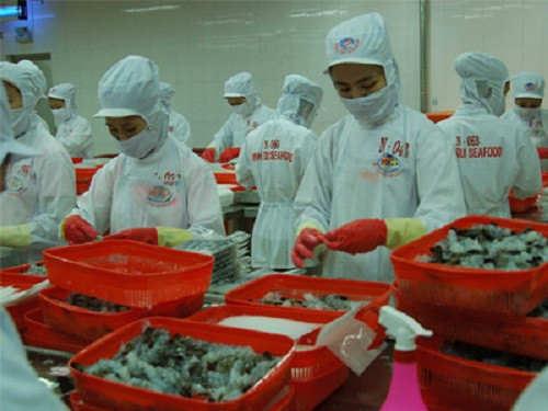 Được thành lập từ năm 1992, sau nhiều năm phát triển, công ty hải sản Minh Phú đã có chỗ đứng vững chắc trên thị trường và được diễn đàn kinh tế thế giới năm nay điểm tên là những doanh nghiệp đang phát triển mạnh mẽ.