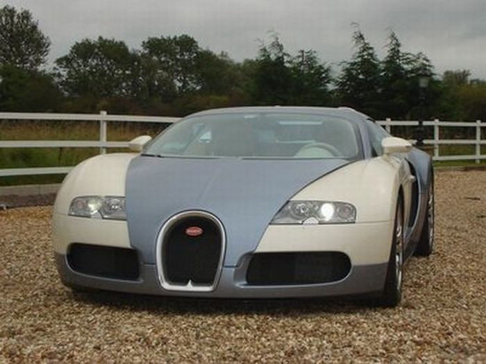 Alexander Surin sở hữu 3 ông vua tốc độ Bugatti Veyron. Tổng giá trị 2 chiếc xe này lên tới hơn 3,3 triệu USD.