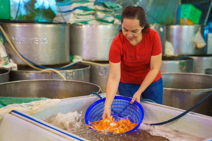 Chị Huỳnh Thị Thùy Yến cho biết, dù sức mua giảm so với mọi năm, nhưng trong 4 tiếng mở hàng chị đã bán hơn 1 tấn cá chép đỏ, mặc dù số lượng không nhiều bằng các năm trước dịch Covid-19.