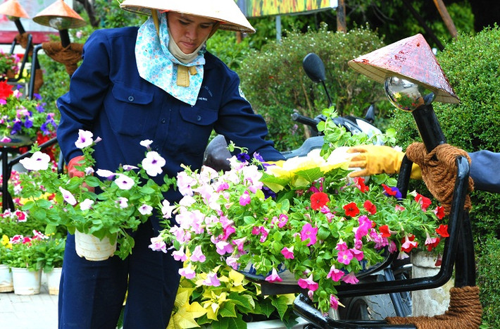 Hoa dạ yến thảo xếp thành tượng người đang ôm hoa.