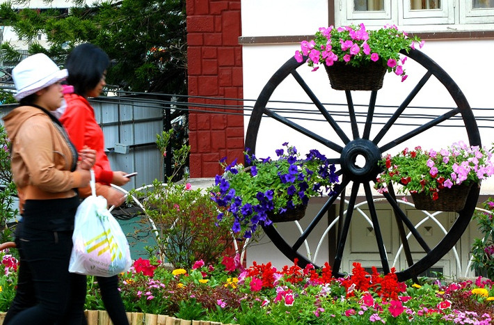 Hoa được gắn trên những bánh xe...