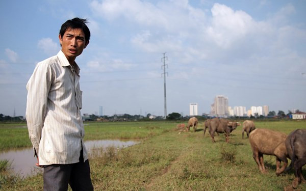 “Có nhiều người ở Hải Lựu, Đồ Sơn đã trả anh hơn 100 triệu đồng cho Tể tướng nhưng anh vẫn không muốn bán vì thực sự anh và “ Tể tướng” đã có rất nhiều kỉ niệm” – Anh Thiện tâm sự.