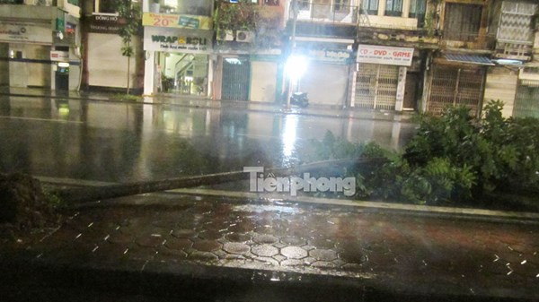 Cây trên đường Đinh Tiên Hoàng (Hà Nội) bật gốc trong đêm, chắn ngang đường.