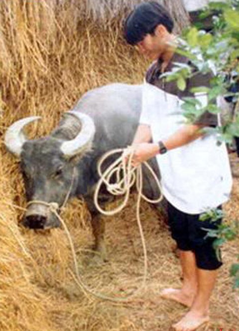 Thời thơ ấu của Văn Quyến gắn liền với những buổi đi cắt cỏ, chăn trâu. Văn Quyến ngày đó thường đá bóng nhựa hay quả bưởi xanh với đám bạn chăn trâu rồi được các thầy phát hiện trong chiến dịch tìm nhân tài bóng đá của Đoàn bóng đá Sông Lam ở các tỉnh vùng sâu, vùng xa.
