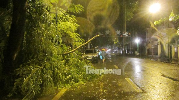 Một cành cây lớn bị gãy trên đường Tràng Thi (Hà Nội).