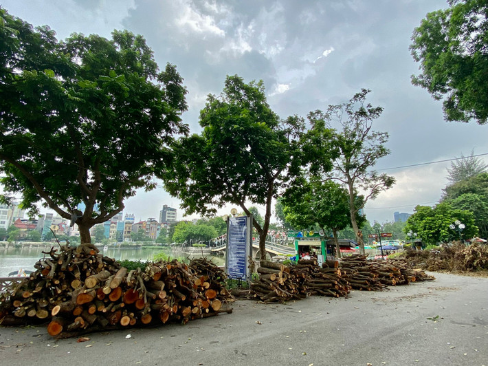Lối vào công viên phía đường Nguyễn Văn Ngọc ngập trong những "núi" cành cây mới bị đốn hạ.