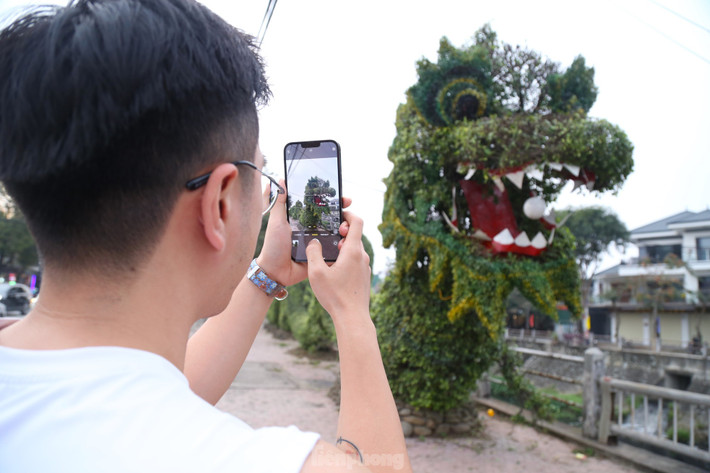 Được biết, hai con rồng bằng cây xanh này được làm từ khoảng 10 năm trước, được đặt cố định ở đây và hàng năm đều được các công nhân cắt tỉa, chăm sóc. Nhân dịp Tết Nguyên đán Giáp Thìn, phía công ty cổ phần Công viên cây xanh TP Vinh đã cho nhân viên trang trí thêm để hai con rồng trông bắt mắt hơn.