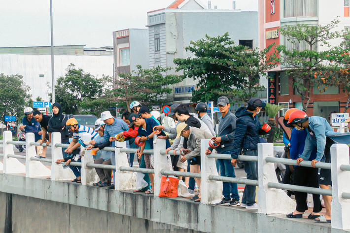 Tại cầu Phú Lộc (phường Thanh Khê Tây, quận Thanh Khê, Đà Nẵng) nơi sông Phú Lộc đổ ra biển, hàng ngày thu hút hàng chục cần thủ đổ về để câu cá, không chỉ đơn giản là giải trí, tìm niềm vui mà còn có thể kiếm thêm thu nhập.