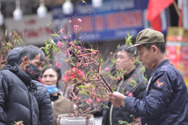 Đào cảnh nhỏ trên phố bán chạy, đối lập với tình cảnh vắng vẻ của những điểm bán đào cảnh, đào thế khác. Lựa mua cành đào 90.000 đồng trong buổi sáng 29 Tết, anh Nhật Bình (Hoàn Kiếm, Hà Nội) chia sẻ khá hài lòng với mức giá cây, hoa Tết năm nay, tiểu thương chấp nhận trả giá so với mức 150.000 đồng đưa ra ban đầu